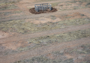 Eleusis 2023, “Behind the theater” and the life