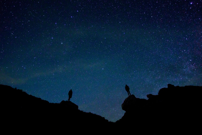 Stars