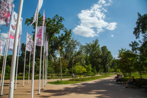 Novi Sad 2022, Open Call dedicated to Mitar Subotić Suba