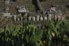 Eleusis