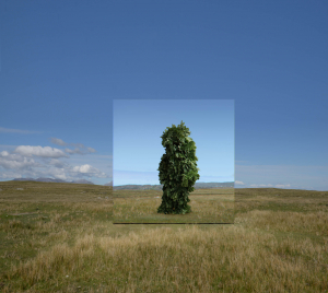 Mirror Pavilion Leaf Work concept drawing courtesy of John Gerrard