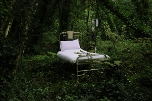 The Deepest Shade of Green by Saolta Arts and Galway 2020