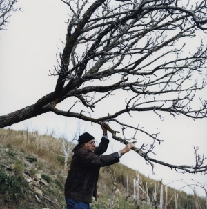 Gregor Božič, Giuseppe in hruška spina, Italija, 2019