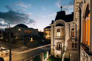 New Synagogue and Rosenfeld palace