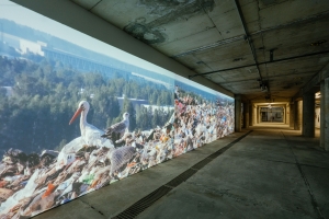 Diana Lelonek: Storck, a sacred bird; Kunstfestival Begehungen